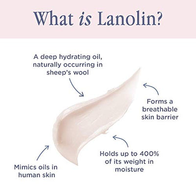 Lanolips Bronze Gold 101 Ointment
